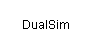 DualSim